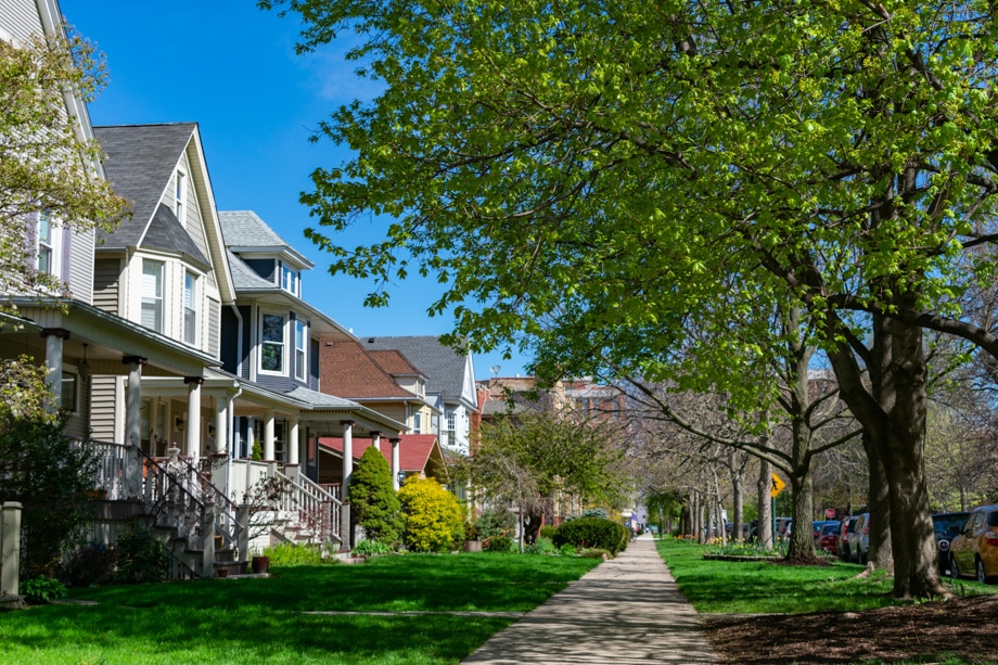 Charlotte Tree Inventories