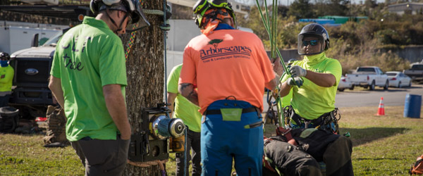 Certified Arborists Safety Training