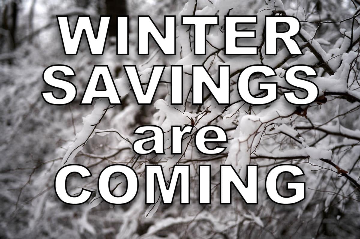 Featured image for “Winter Savings on Tree Work”