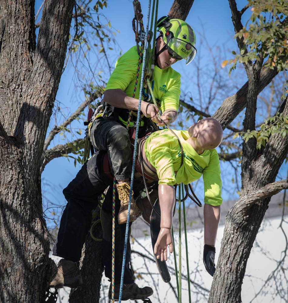 Commercial Tree Services Safety Training